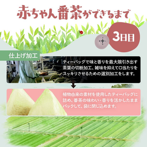 【メール便ギフト】太陽さんさん赤ちゃん番茶 農薬・化学肥料未使用 30個入